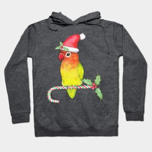 Cute yellow Fischer's lovebird Christmas style Hoodie